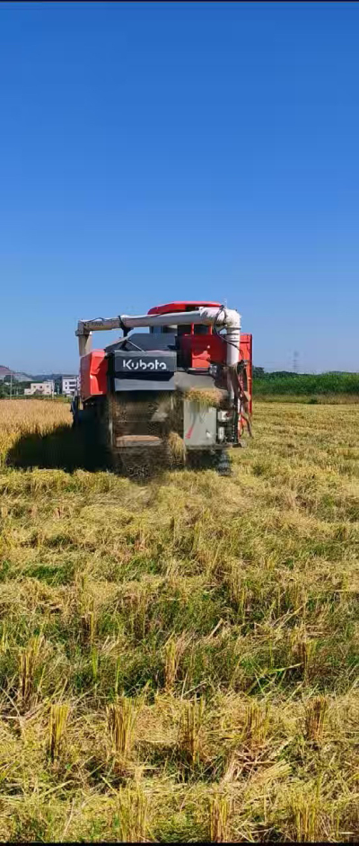 惠州基地，无人拖拉机收水稻了。