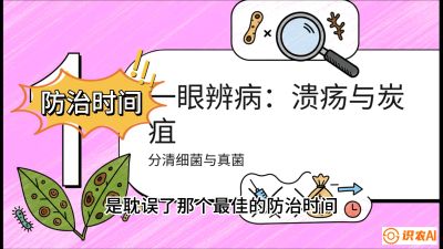 第三节：细菌与真菌&mdash;&mdash;溃疡病与炭疽病，课程：《柑橘十大病虫害：从入门到精通》
