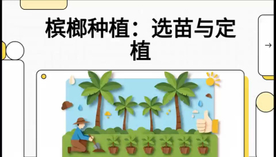 第01节：选苗与定植&mdash;&mdash;&ldquo;苗好一半收，底肥定千秋&rdquo;课程：《槟榔种植：从不懂到精通的10堂必修课》