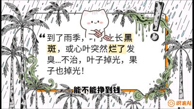 第05节：常见真菌病害&mdash;&mdash;&ldquo;炭疽与烂心，早防值千金&rdquo;《槟榔种植：从不懂到精通的10堂必修课》