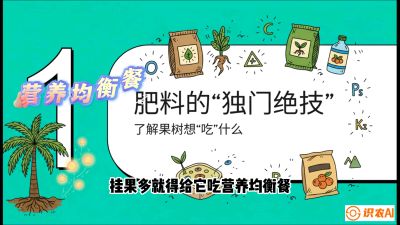 第07节：科学施肥&mdash;&mdash;&ldquo;氮磷钾配好，树壮果不倒