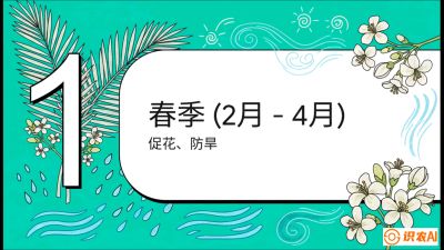 第10节：周年农事日历&mdash;&mdash;&ldquo;跟着节气走，丰产在手头&rdquo;《槟榔种植：从不懂到精通的10堂必修课》