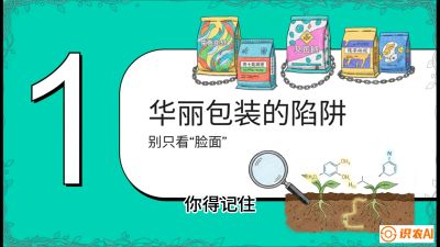 第4节：【黄金配方】底肥里的&ldquo;铁三角&rdquo;与&ldquo;微量雷区&rdquo;课程：《柑橘底肥&ldquo;翻身账&rdquo;：从改土到高产的实战全书》