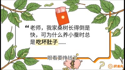 第01节：不仅仅是树&mdash;&mdash;顶级品种选配策略，课程：《桑海淘金：桑树高产与蚕桑安全进阶实战课》