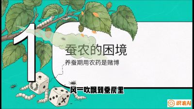 第06节：虫口夺叶（上）&mdash;&mdash;物理与生物防控绝技，课程《桑海淘金：桑树高产与蚕桑安全进阶实战课》