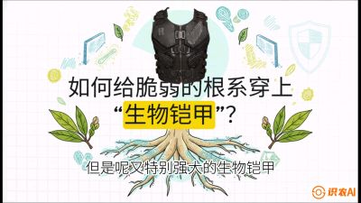 第三节：国产榴莲突围战：根系堡垒，菌根微生态构建与黄金定植窗口，课程：《国产榴莲突围战：从泰国经验到中国实操的8堂必修课（高阶实战版）》