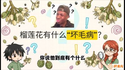 第六节：榴莲的午夜战事，夜间授粉战与花果期避雨策略，课程：《国产榴莲突围战：从泰国经验到中国实操的8堂必修课（高阶实战版）》