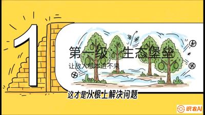 第七节：榴莲防御战：病虫害三级立体防控，疫霉菌与虫害的立体封锁线，课程：《国产榴莲突围战：从泰国经验到中国实操的8堂必修课（高阶实战版）》