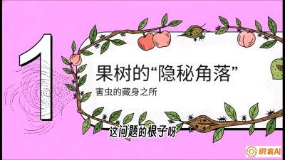 第3节：无人机专治&ldquo;打不透&rdquo;&mdash;&mdash;果树与高杆作物的穿透技巧，课程：《无人机植保搞钱必修课：从&ldquo;瞎飞&rdquo;到&ldquo;懂行&rdquo;的6步进阶》