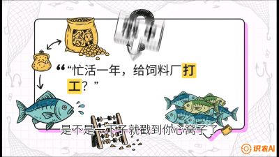 第一节：【选品与规划】如果不养&ldquo;四大家鱼&rdquo;，我们还能养什么？,课程：《黄金鳞甲：2025中国淡水鱼高效养殖实战营》