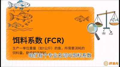 第五节：【高端单品&middot;鳜鱼】&ldquo;饲料鳜&rdquo;技术：打破吃活饵的高成本魔咒，课程：《黄金鳞甲：2025中国淡水鱼高效养殖实战营》