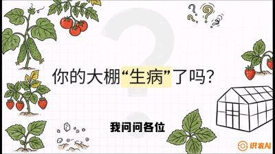 第2节（解毒篇）： 大棚里的&ldquo;红白绿&rdquo;警报&mdash;&mdash;读懂土壤盐渍化的求救信号，课程：《揭秘土壤的秘密：让土地帮你赚钱》#识农AI