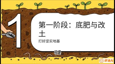 第6节（统筹篇）： 省钱又增产的&ldquo;黄金配比&rdquo;&mdash;&mdash;不同作物全年的养土实操方案，课程：《揭秘土壤的秘密：让土地帮你赚钱》#识农AI