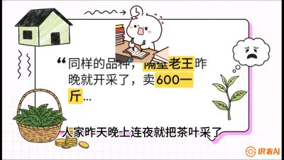 第01节（抢早篇）：与老天爷抢饭吃：如何利用&ldquo;温差阈值&rdquo;让头采茶提前5天上市？，课程：《茶金时代：从&ldquo;看天吃饭&rdquo;到&ldquo;精准控局&rdquo;的茶叶高产提质实战课》