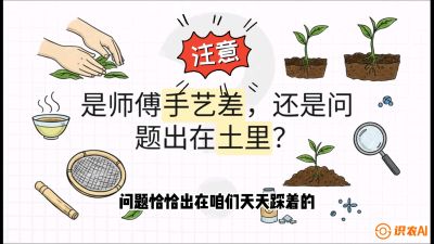 第02节（土肥篇）：告别&ldquo;苦涩水味&rdquo;：揭秘&ldquo;碳氮比&rdquo;调控术，种出自带兰花香的好茶底，课程：《茶金时代：从&ldquo;看天吃饭&rdquo;到&ldquo;精准控局&rdquo;的茶叶高产提质实战课》