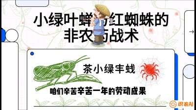第03节（虫害篇）：看不见的吸血鬼：小绿叶蝉与红蜘蛛的&ldquo;非农药&rdquo;团灭战术（抗性治理），课程：《茶金时代：从&ldquo;看天吃饭&rdquo;到&ldquo;精准控局&rdquo;的茶叶高产提质实战课》