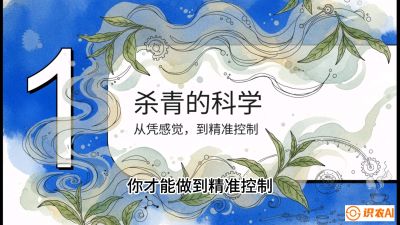 第05节（加工篇）：决胜2分钟：用&ldquo;数字温控&rdquo;破解杀青不匀，复刻大师级手工口感，课程：《茶金时代：从&ldquo;看天吃饭&rdquo;到&ldquo;精准控局&rdquo;的茶叶高产提质实战课》
