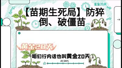 第2节：【苗期生死局】防猝倒、破僵苗，决定后期产量的&ldquo;黄金20天&rdquo;，课程：《辣椒种植实战特训营，从工业辣椒到精品小米辣，教你如何把&ldquo;草&rdquo;种成&ldquo;金&rdquo;》