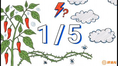 第6节：【花果爆发术】落花落果的五大元凶，与&ldquo;三喷一保&rdquo;坐果黑科技，课程：《辣椒种植实战特训营，从工业辣椒到精品小米辣，教你如何把&ldquo;草&rdquo;种成&ldquo;金&rdquo;》