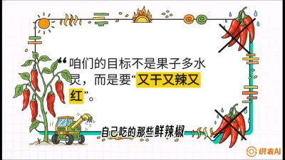 第7节：【工业辣椒专场】追求极致辣度！干物质提升与机械化采收的&ldquo;催红秘籍&rdquo;，课程：《辣椒种植实战特训营，从工业辣椒到精品小米辣，教你如何把&ldquo;草&rdquo;种成&ldquo;金&rdquo;》