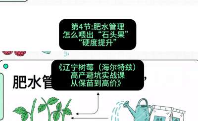 第四节： 肥水管理&mdash;&mdash;怎么喂出&ldquo;石头果&rdquo;（硬度提升），课程：《辽宁树莓（海尔特兹）高产避坑实战课：从保苗到高价》
