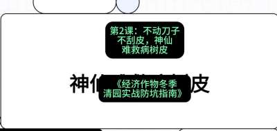 第2节：【物理手段】不动刀子不刮皮，神仙难救病树皮，课程：《经济作物冬季清园&middot;实战防坑指南》#识农AI