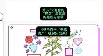 第02节：百合的&ldquo;癌症&rdquo;&mdash;&mdash;病毒病的阻断与急救，课程：《卷丹百合&ldquo;无病高产&rdquo;植保实战课》#识农AI