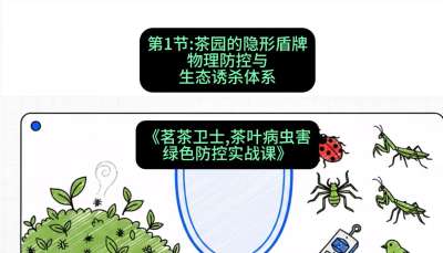 第01节：茶园的&ldquo;隐形盾牌&rdquo;&mdash;&mdash;物理防控与生态诱杀体系，课程：《茗茶卫士&mdash;&mdash;茶叶病虫害绿色防控实战课》#识农AI