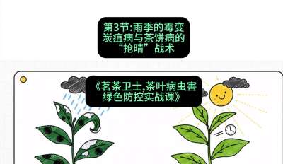 第03节：雨季的霉变&mdash;&mdash;炭疽病与茶饼病的&ldquo;抢晴&rdquo;战术，课程：《茗茶卫士&mdash;&mdash;茶叶病虫害绿色防控实战课》#识农AI