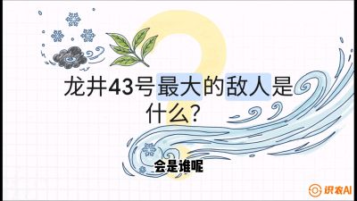 第04节：龙井双璧&mdash;&mdash;龙井43与群体种的差异化护养（重点），课程：《茗茶卫士&mdash;&mdash;茶叶病虫害绿色防控实战课》#识农AI