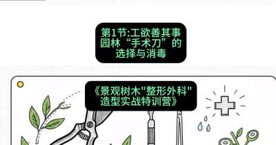 第01节：工欲善其事&mdash;&mdash;园林&ldquo;手术刀&rdquo;的选择与消毒，课程：《景观树木&ldquo;整形外科&rdquo;造型实战特训营》#识农AI