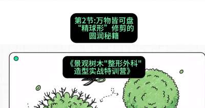 第02节：万物皆可盘&mdash;&mdash;&ldquo;精球形&rdquo;修剪的圆润秘籍，课程：《景观树木&ldquo;整形外科&rdquo;造型实战特训营》#识农AI