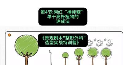 第04节：网红&ldquo;棒棒糖&rdquo;&mdash;&mdash;单干高杆植物的速成法，课程：《景观树木&ldquo;整形外科&rdquo;造型实战特训营》#识农AI
