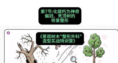 第07节：化腐朽为神奇&mdash;&mdash;偏冠、秃顶树的修复整形，课程：《景观树木&ldquo;整形外科&rdquo;造型实战特训营》#识农AI