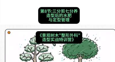 第08节：三分剪七分养&mdash;&mdash;造型后的水肥与定型管理，课程：《景观树木&ldquo;整形外科&rdquo;造型实战特训营》#识农AI